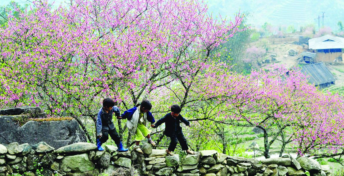 Discover The Best Of Sapa